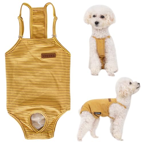 Hundewindeln Wiederverwendbar für Hündinnen – Waschbare Damenbinden Höschen – Anti-Rüden Schutzhose & Sicherheitshöschen für Hündinnen – Verstellbare Öko-Windelhose (M)