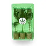 Weedness Versandverpackung/Transport-Box für Cannabis Stecklinge aus Kunststoff für 3 Stecklinge - Grow Indoor & Outdoor Sämlinge Anzucht Gewächshaus