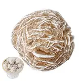 Wüstenstein | Natural Gypsum Desert Love Stone | Tischornament, pädagogisches Sammlermineral Exemplar Heimdekoration für Sandbüroplatte, r