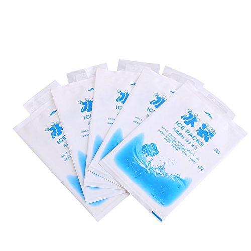Fydun Trockeneis Gel Packs - 10 Stück Kühlpack Wiederverwendbar, Ice Pack Kühltasche PE Lebensmittelqualität, Freezable Kühler Bag für Lebensmittel, Gemüse und Weinindustrie (200 ml)
