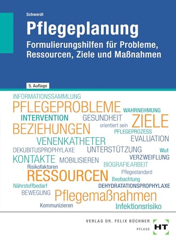 Pflegeplanung: Formulierungshilfen für Probleme, Ressourcen, Ziele und Maßnahmen