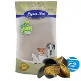 Lyra Pet® 15 STK. Rinderhufe gefüllt mit Pansen und Leber je ca. 120 g + Tennis Ball | Naturbelassener Kausnack | Ideal für die Zahnpflege | Leckerli für Hunde | Gut verdaulicher Kauartikel