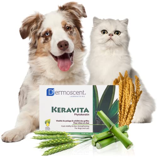 Keravita | Vitalität fürs Fell und Starke Krallen für Hunde und Katzen | Natürliche Formel mit botanischem Keratin, Bambus, Vitaminen und Zink | Leicht zu handhabende, schmackhafte Tabletten