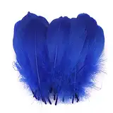 100 Stück Bunte Feder zum Basteln Naturfedern Gänsefedern Indianer Bastelfedern für DIY Kunstwerk Masken Hüte Ohrringe Haarschmucken Traumfänger Hochzeit Karneval Party Dekoration,12-18cm Blau