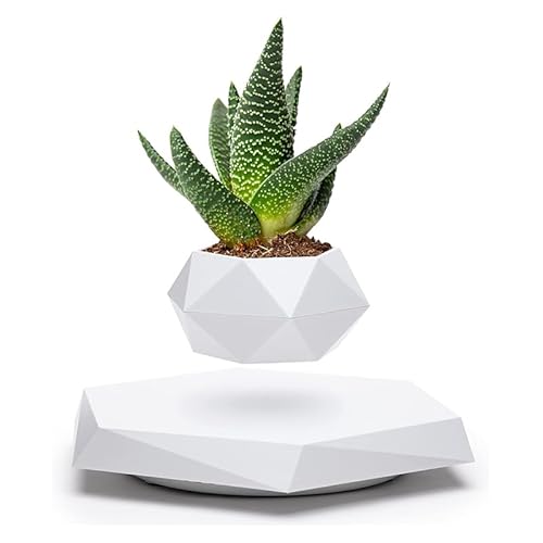 Rufevee Schwebender Pflanzen Topf, magnetischer Schwebe-Blumentopf, rotierende Pflanz gefäße Suspension schwimmende Pflanzen-Sukkulenten für zu Hause Wohnzimmer Büro Schreibtisch Dekoration