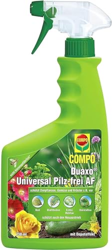 COMPO Duaxo Universal Pilz-frei AF - Fungizid - bekämpft Pilzkrankheiten - für gesunde Pflanzen - anwendungsfertiges Spray - 750 ml