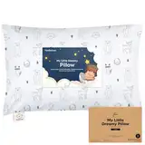 KeaBabies Kinderkissen mit Kissenbezug – 51X35cm Kinderkissen ab 2 Jahren, Waschbares Kinderkissen, Weiches Bio-Kinderkissen, Kinderkissen zum Schlafen, Großes Kinderkissen (KeaFriends)