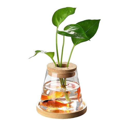 BestAlice 2 Stück Pflanzenvermehrungsstation, Luftpflanzen-Terrarium, Desktop-Pflanzenvermehrungsstationen, Geschenke für Pflanzenliebhaber, Weihnachten, Gartenarbeit, Geburtstagsgeschenke für(A)