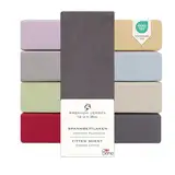 DarBene Spannbettlaken 140x200 Premium 2er Set, Jersey 100% gekämmte Premium Baumwolle, atmungsaktiv, superweiches Bettlaken bis 30 cm Matratzenhöhe, Oeko-TEX, Anthrazit