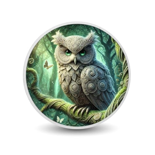 Verzauberte Eule in einem mystischen Wald 1oz Silbermünze, Arverni Mint