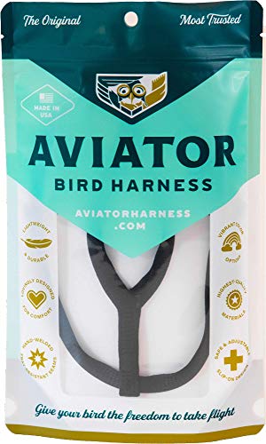 Das Aviator Vogel Geschirr & Lein – Made in America