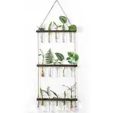 Winter Shore Reagenzgläser für Blumen - 3-Stöckiges Wand-Ableger Pflanzen Glas - Terrarium Glas & Holz mit Seil, 15 Mini-Reagenzgläsern, Reinigungsbürste - Hängevase Hydrokultur Pflanzen, Stecklinge