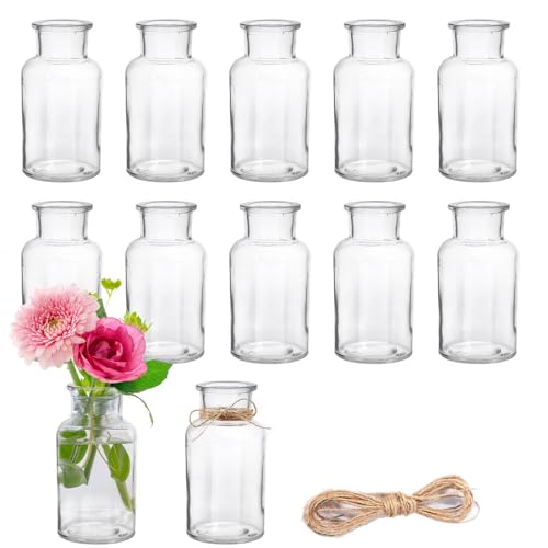 12 Stück Mini Glasvasen, 250ml kleine Väschen mit Juteschnur, Blumenvasen Tischvasen Glasvasen Dekoflaschen Glasflaschen, Glasfläschchen für Tischdeko Mittelstücke, Hochzeitsdekorationen