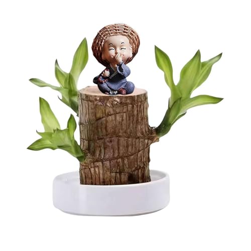 Generisch Brasilianisches Glücksholz, Brasilianisches Holz Grünpflanze, Dekoration, Hydroponischer Topfpflanzenstumpf, Brasilianische Pflanze, Mini Lächelnder Buddha, Desktop Ornament