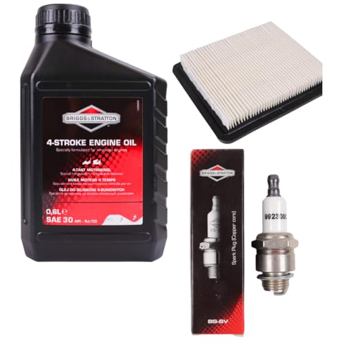 Wartungsset für Rasenmäher BRIGGS&STRATTON Quantum 625, 650, 675 5-6 PS B&S 0,6L 10W 30