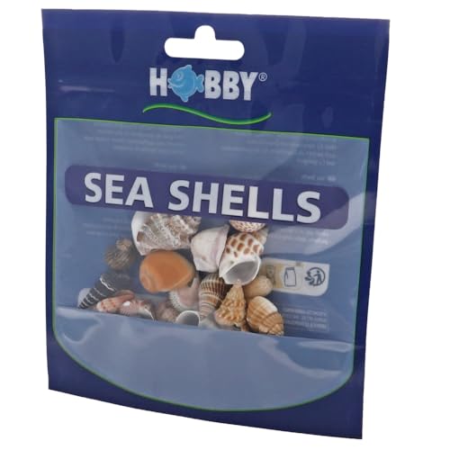 Hobby 40221 Sea Shells Set, S