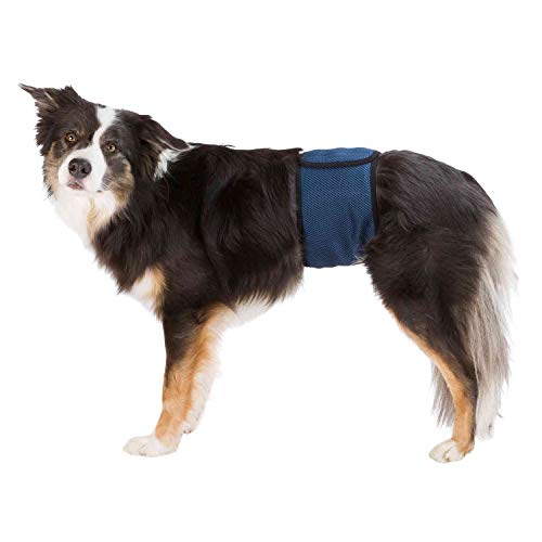 TRIXIE Bauchband für männliche Hunde, XL: 65-75 cm