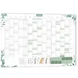 XXL Wandkalender 2025 Eukalyptus Jahresplaner DIN A1+ 89x63 cm Wandplaner 2025 im Eukalyptus Style GEFALZT Jahreskalender 2025 Home Planer Familienplaner Bürokalender 16 Monate: Nov 23 - Feb 25