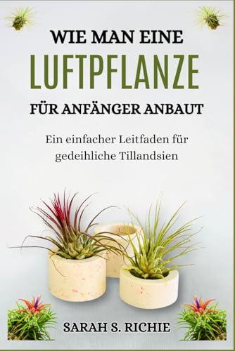 WIE MAN EINE LUFTPFLANZE FÜR ANFÄNGER ANBAUT: Ein einfacher Leitfaden für gedeihliche Tillandsien