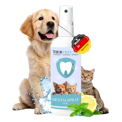 Dentalspray für Hunde & Katzen – 100% natürlich & effektiv gegen Zahnbelag & Zahnstein – Für einen frischen Atem und gegen Mundgeruch – Zahnpflege & Reinigung ganz ohne Bürste