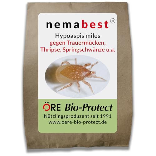 nemabest Hypoaspis miles – 2000 Raubmilben zur biologischen Bekämpfung von Trauermücken, Thripsen, Wurzelläusen und Springschränzen
