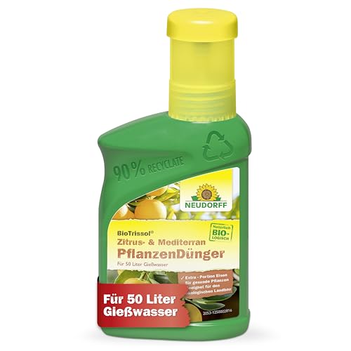 Neudorff BioTrissol Zitrus- & Mediterran PflanzenDünger – Organischer Bio-Dünger mit Extra Eisen sorgt für gesunde und aromatische Früchte, 250 ml, Grün