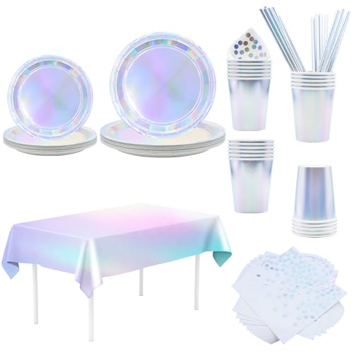Partygeschirr , 121 Stück Pappteller Geburtstagsteller mit Servietten Pappbecher Tischtuch Stroh Wiederverwendbar für Geburtstag,Jubiläum, Hochzeit, Bachelorette Party für 24 Gäste (Buntes Silber)