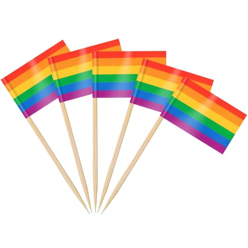 AhfuLife 100 Stück LGBTQ Regenbogen Zahnstocher Flaggen, LGBT Gay Pride Fahne Klein Cocktail Zahnstocher für Lebensmittel Cupcake Toppers Toothpick Partyzubehör Pride Month Parade Party Dekoration