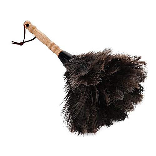 CULASIGN Staubwedel Strauß Bambusgriff Feder Staubwischer Strauss Natur Straußenfedern 32 cm (1#)