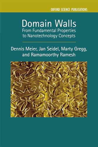 Domain Walls: From Fundamental Properties to Nanotechnology Concepts (Semiconductor Science and Technology, Band 24)