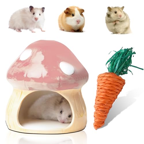 Nizirioo Einzigartige Hamster Haus Keramik: Durable Hamster Versteck, Hamsterhaus und Zahnspielzeug Tunnel in Pilzförmiges Großen Eingängen für Rennmäuse, Mäuse,Chinchillas Hamsterversteck (Rosa)