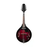 Stagg M50 E Bluegrass Mandoline rot burst