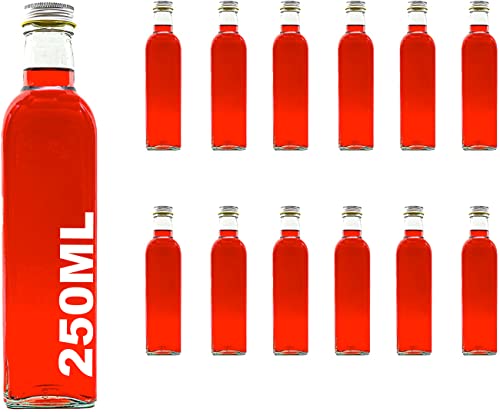 slkfactory casavetro 12 Leere Glasflaschen 250 ml MAR Flaschen mit Verschluss kleine Likörflaschen Schnapsflaschen Saftflaschen Flasche zum selbst abfüllen Nr. 200