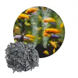 Schiefersplitt 5 cm bis 20 cm Platten Bruch Zier Stein Kies Terrarium Aquarium Terrarium, Deko Stein 25 kg Schieferplatten Steine Bruchplatten Schieferbruch Ziersplitt Reptilien Schieferplatte