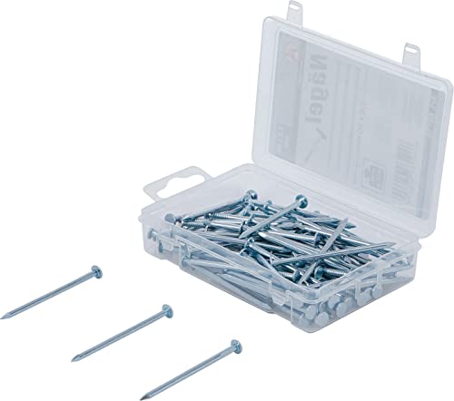 BGS Diy 88118 | Nägel-Sortiment | 250 g | 2,8 x 60 mm