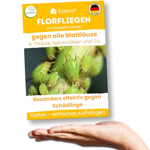 Futeco® – Florfliegenlarven gegen Blattläuse, Spinnmilben, Thripse & Co. - Karten zum einfachen Aufhängen - 3 Karten für 3-6 Pflanzen - starke Wirkung bei Gemüse-, Cannab.- & Zierpflanzen