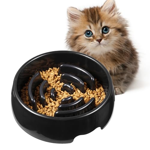 Langsamer Lebensmittelverteiler | Aufzeichnung Für Gesunde Lebensmittel | Nicht -Slip- Und Interactive Food Bowl Für Welpen Und Erwachsene Hunde Verbessert Das Erlebnis des Lebensmittels