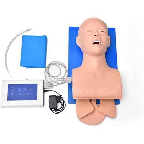 Erwachsene Intubationsmodell, Trachealintubationssimulator, PVC Erwachsene Intubation Manikin Unterrichtsmodell, Airway Management Trainer Tracheale Intubation Trainingssimulator Model