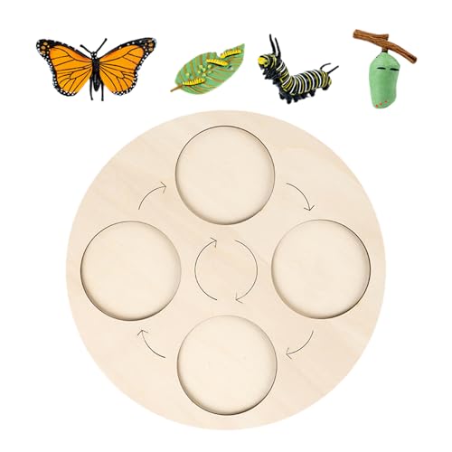 Lebenszyklusspielzeug - Holzpuzzles Bildungsbehörde | STEM Nature Puzzle, tierisches Insektenwachstums -Lernspielzeug, Science Discovery Brettspiel, Holzpädagogikspielzeug für Kinder Explor