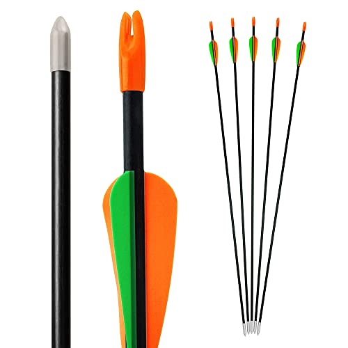 Bogenkönig Pfeile für Bogenschießen 5er Set aus Fiberglas mit Spitze Metal Kinder Bogen 28 Zoll (Rund Spitze)