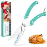 HAUSHOF Geflügelschere 255 mm, robuste scharfe Küchenschere aus Edelstahl, Fleischschere für Fleisch, Huhn, Fisch, Knochen, Gemüse