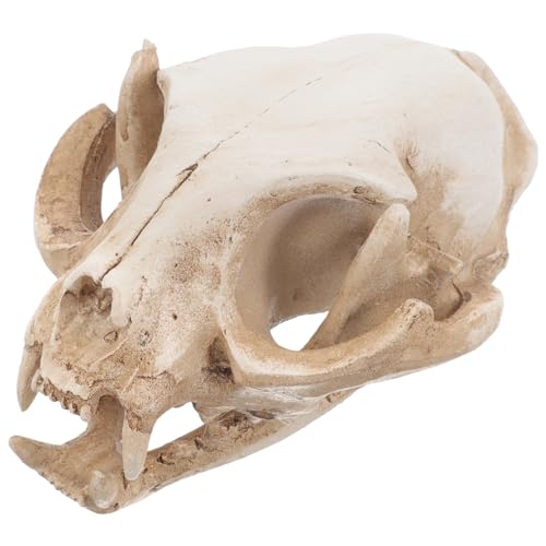 Amosfun Halloween Katze Skelett Harz Tier GlüCkskatze SchäDel Figur Aquarium Deko FüR Terrarien Und Gartenlandschaften