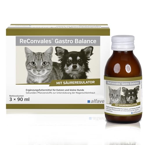 Alfavet, ReConvales Gastro Balance für Katze und Hund, zur Pflege der Magenschleimhaut mit Säureregulator, Ergänzungsfuttermittel, 3x90ml Liquid