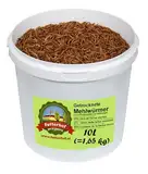 Futterhof getrocknete Mehlwürmer 10 L Eimer (= 1,65 kg), Premium Qualität