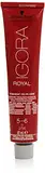 Schwarzkopf IGORA Royal Premium-Haarfarbe 5-6 hellbraun schoko, 1er Pack (1 x 60 g) blumig