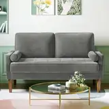 Meskanu Couch 2 Sitzer, 121 cm Samt Kleines Sofa mit 2 Wurfkissen, Modern Mini Sofa, Getuftetes Kleine Couch für Wohnzimmer/Schlafzimmer/Büro/Wohnung, Grau