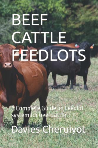 BEEF CATTLE FEEDLOTS: A Complete Guide on Feedlot system for beef cattle (Cattle farming)