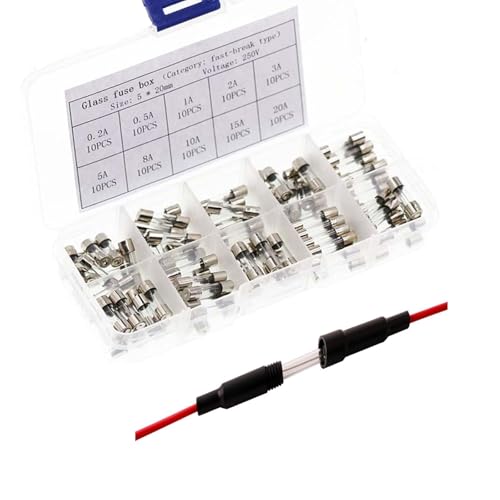 Professionell 5 X 20mm Auto Glasrohrsicherungen 100 Stück Schnelle Schlag Glassicherung, Fast Schlag Glas Sicherungen, 0,1-20A, 250V