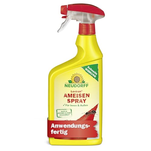 Neudorff Loxiran AF AmeisenSpray – Anwendungsfertiges Spray zur zuverlässigen Bekämpfung von Ameisen mit Sofortwirkung für Innen und Außen, 750 ml