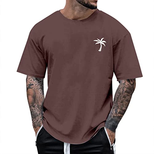 Herren T-Shirt Mit Farbverlauf, Shirt Herren Kurzarm, Casual Rundhals Tshirt Atmungsaktiv Schnelltrocknend Tops Fitness Gym Sportshirts Premium Hautfreundlich Oberteile Streetwear